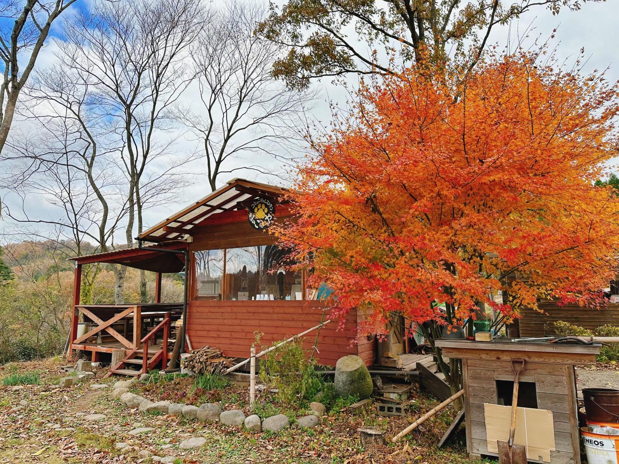 Guesthouse Kurihai OOoita Eksteriør billede